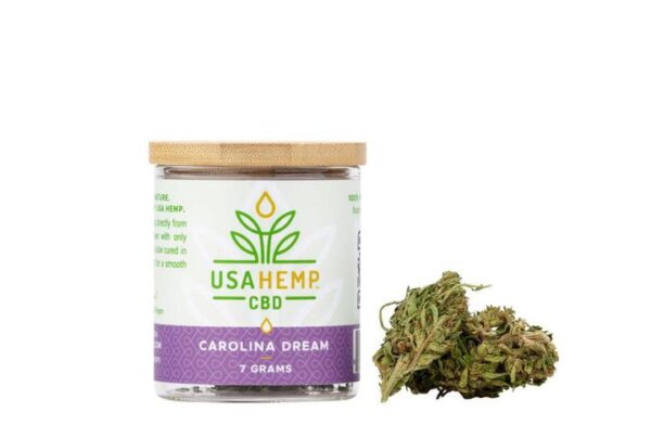 CAROLINA DREAM PREMIUM FLOWER