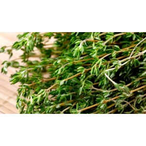 Thyme