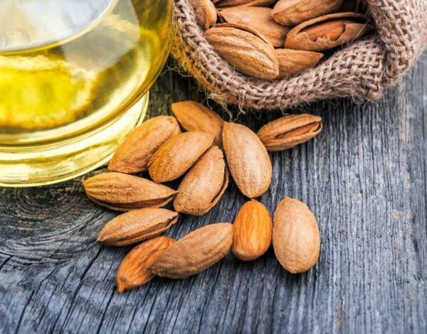 Sweet Almond Carrier Oil