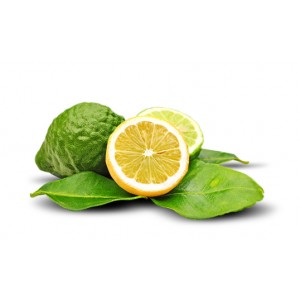 Bergamot