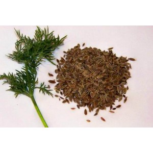 Dill Seed