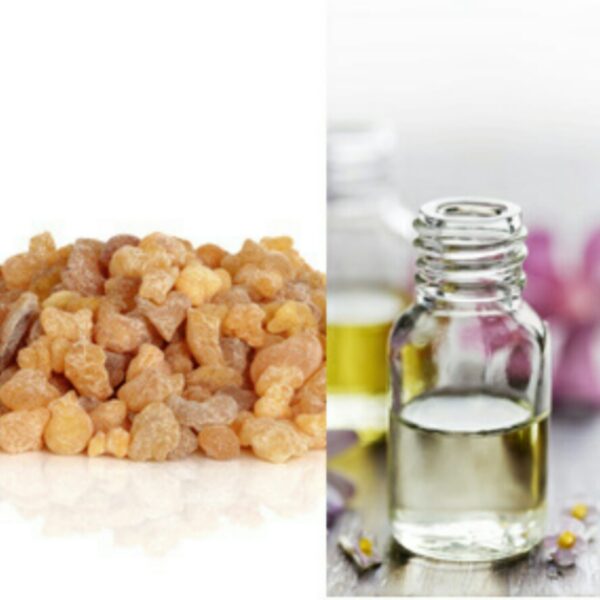 Frankincense Carterii